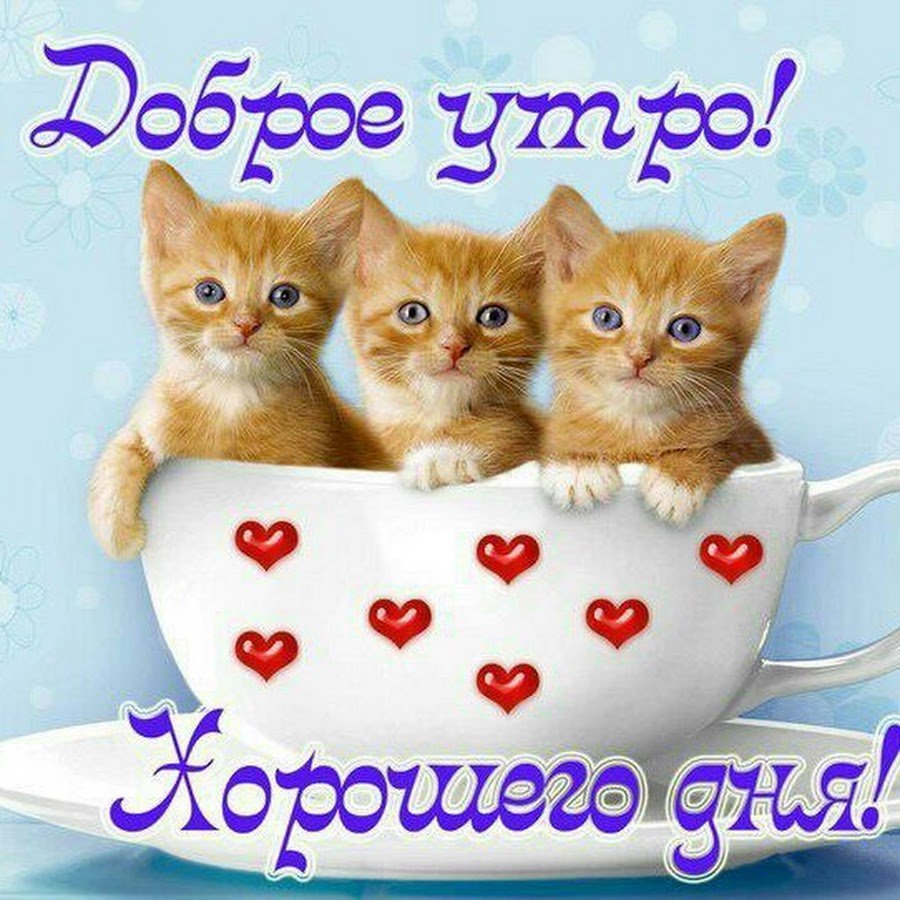 Пожелания с добрымиутром
