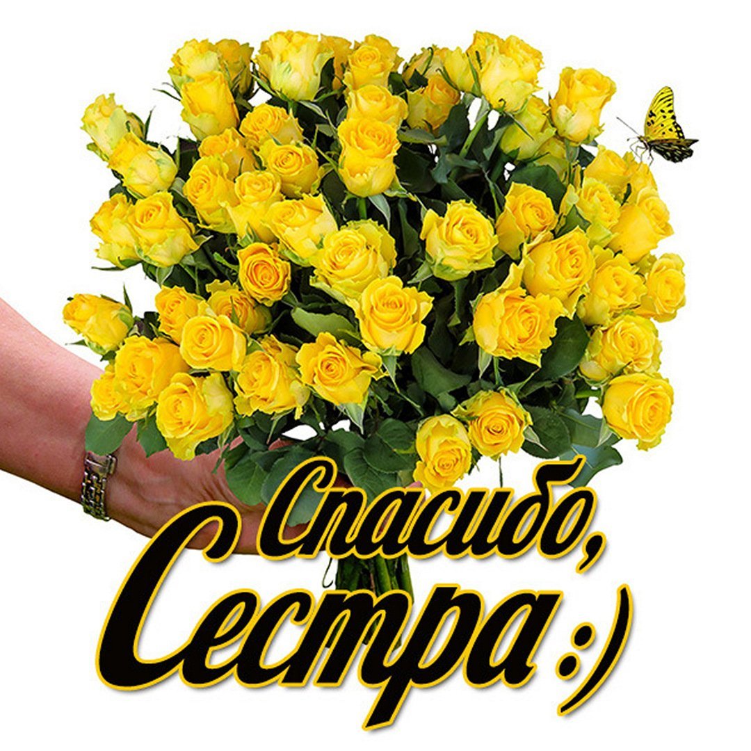 Спасибо за вечер