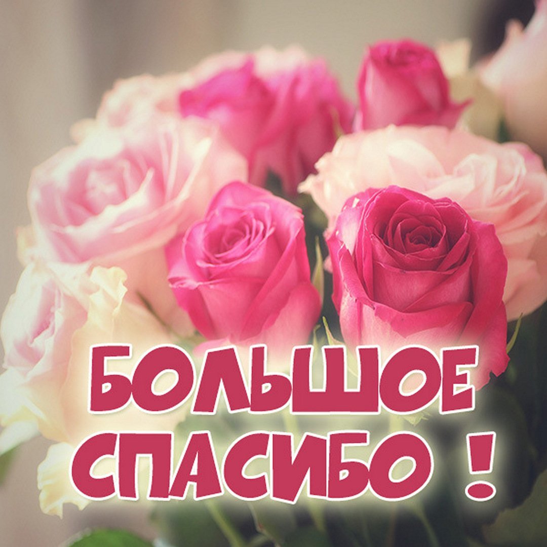 Спасибо за поздравления