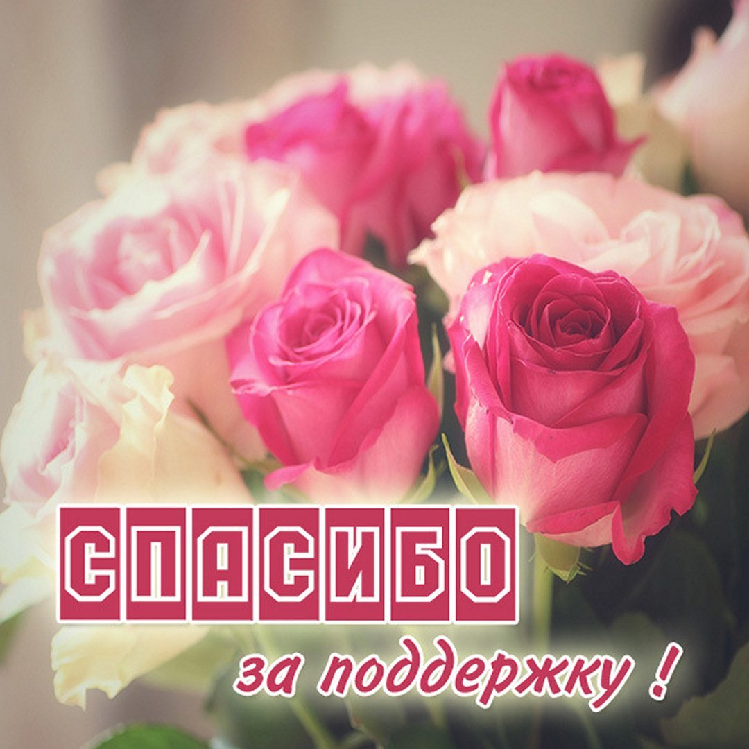 Спасибо друзья картинки очень красивые