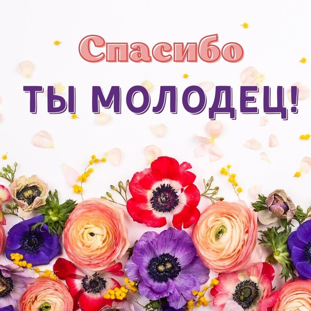 Спасибо за поздравления