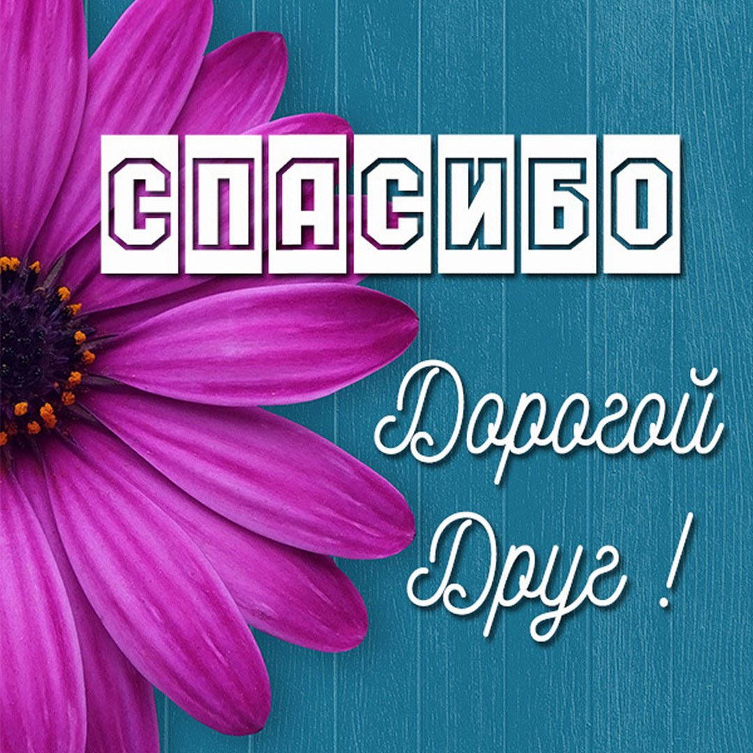 Спасибо дорогая