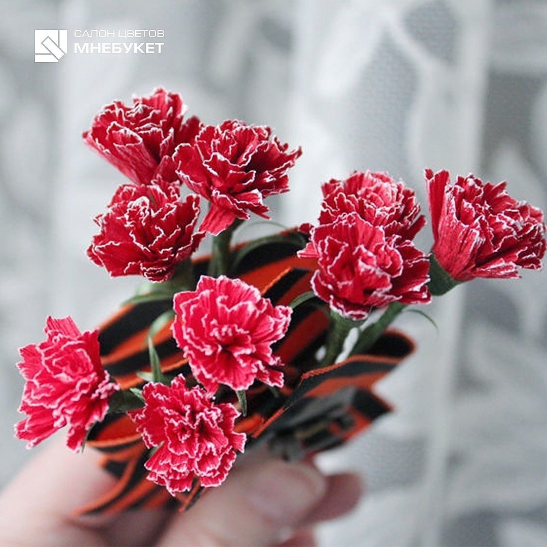 Красивые красные гвоздики