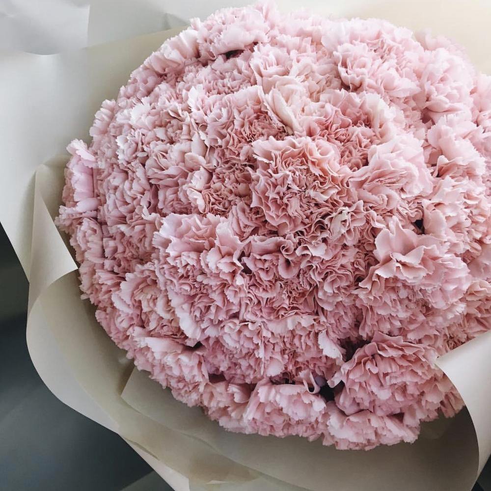 Диантус букет