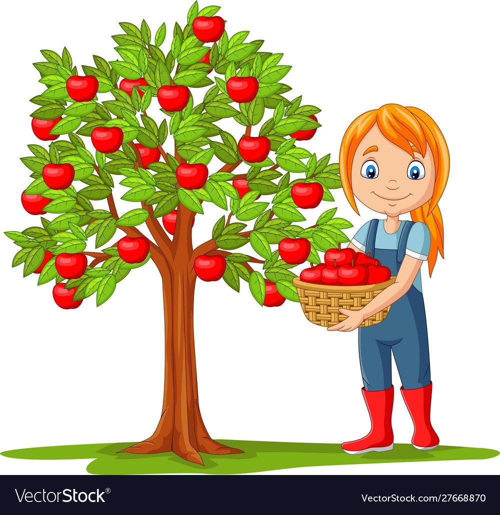 Яблоня карточка для детей