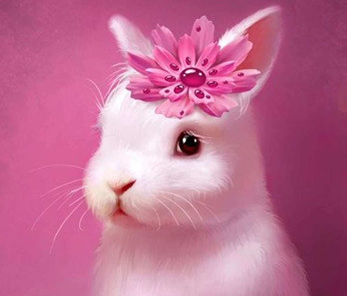 Злой кролик чб