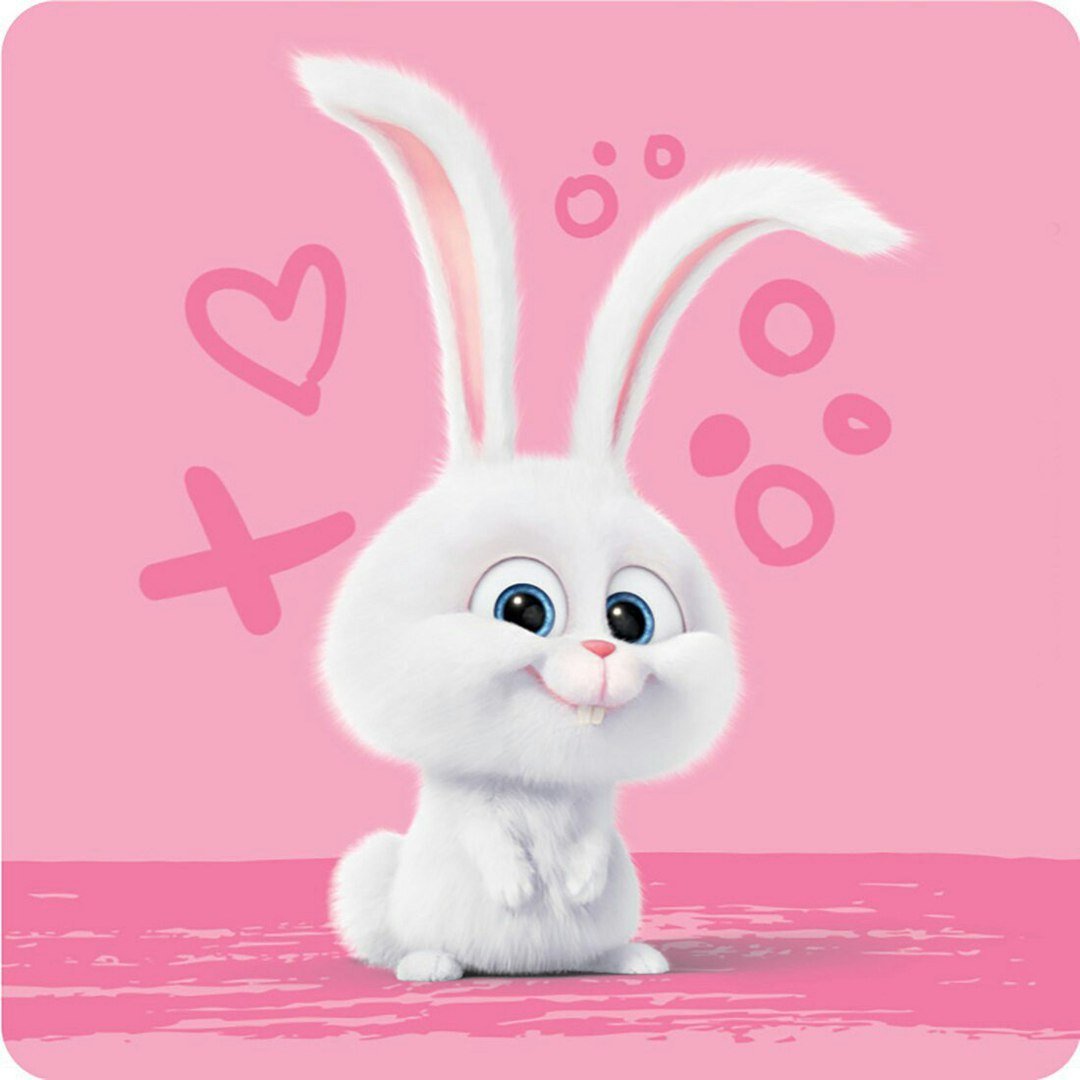 Милый зайчик с короной