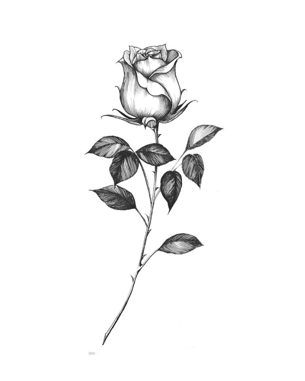 Три розы чб