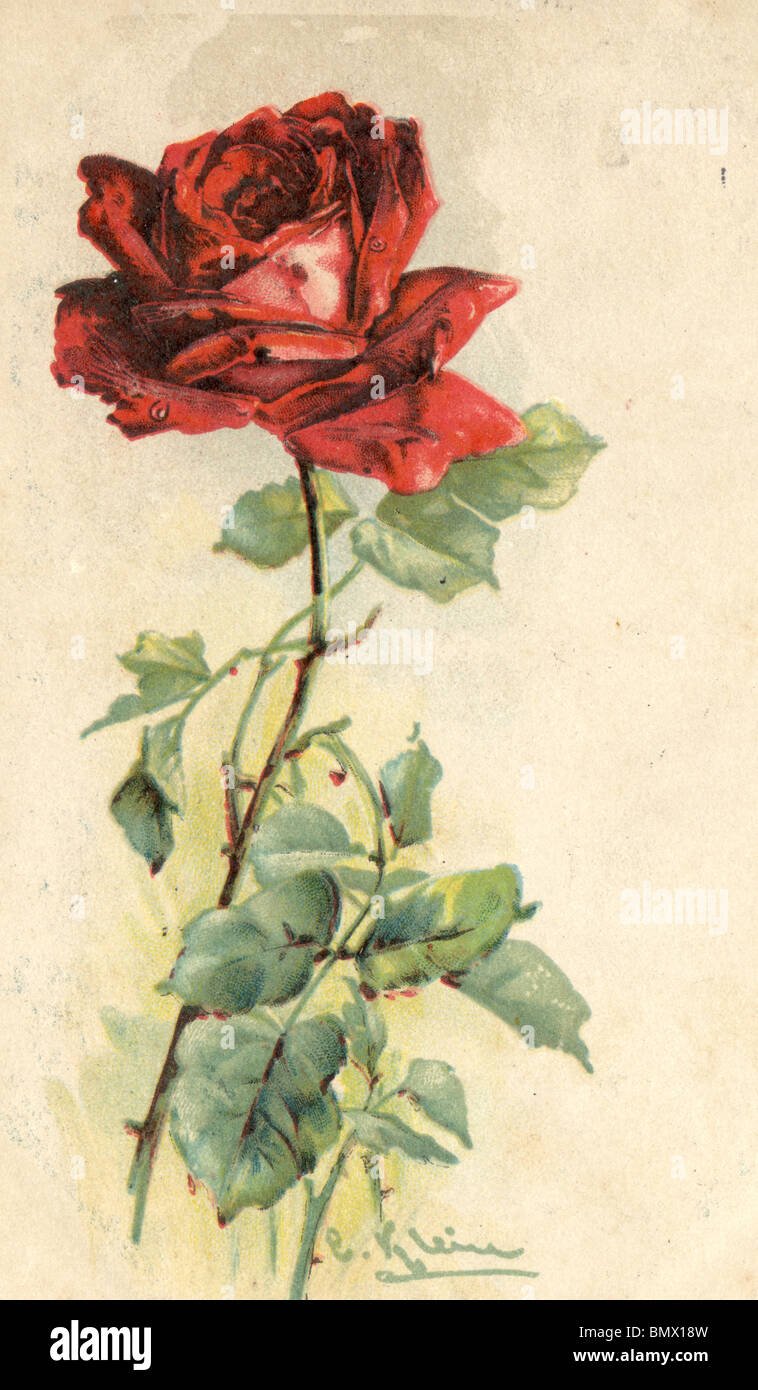 Розы для гравировки на памятниках