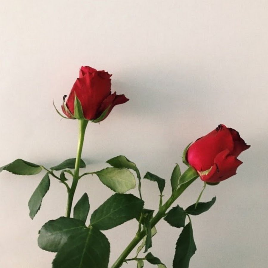 Эстетика черного и белого и красного