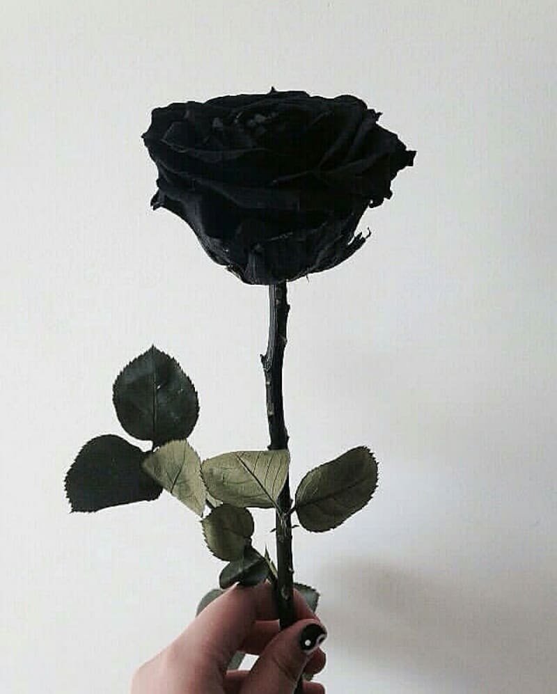 Художник Ирен Клестова