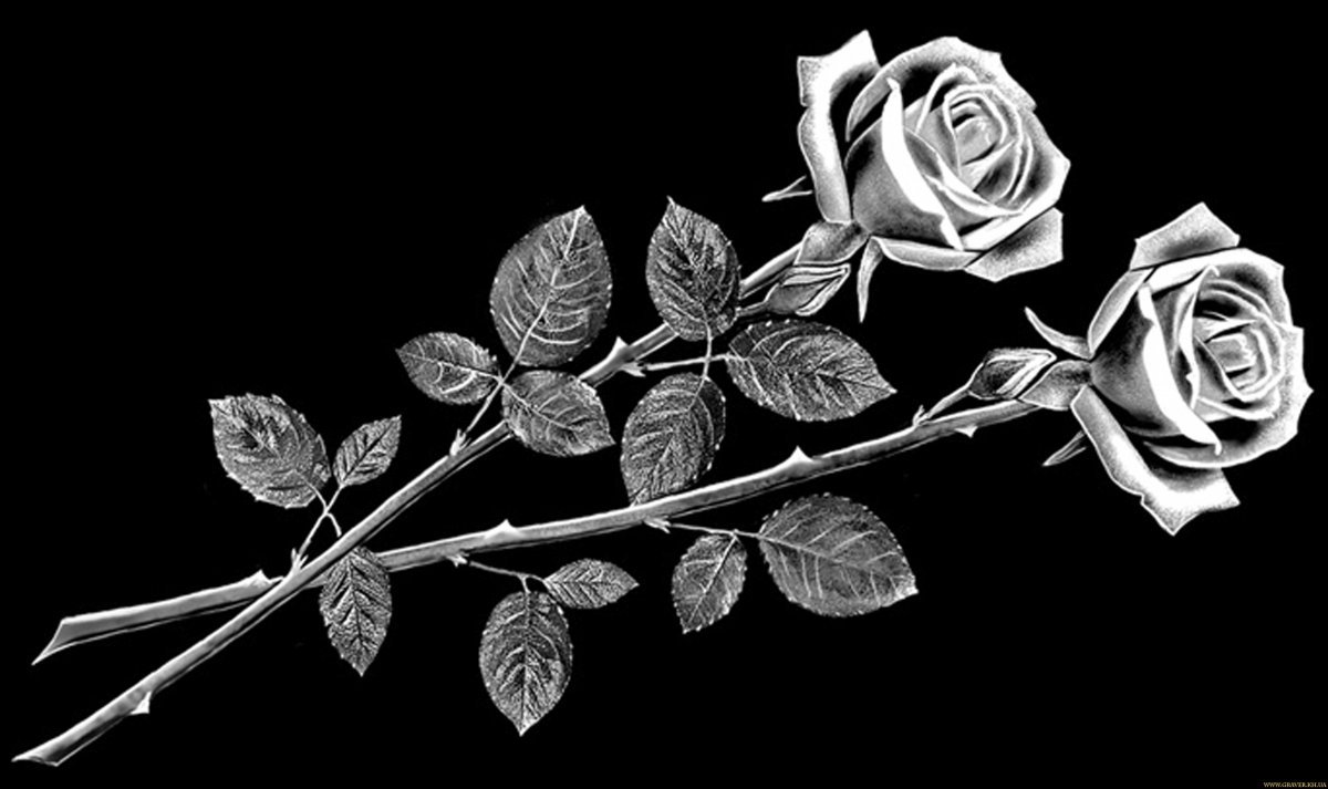 Розы для гравировки