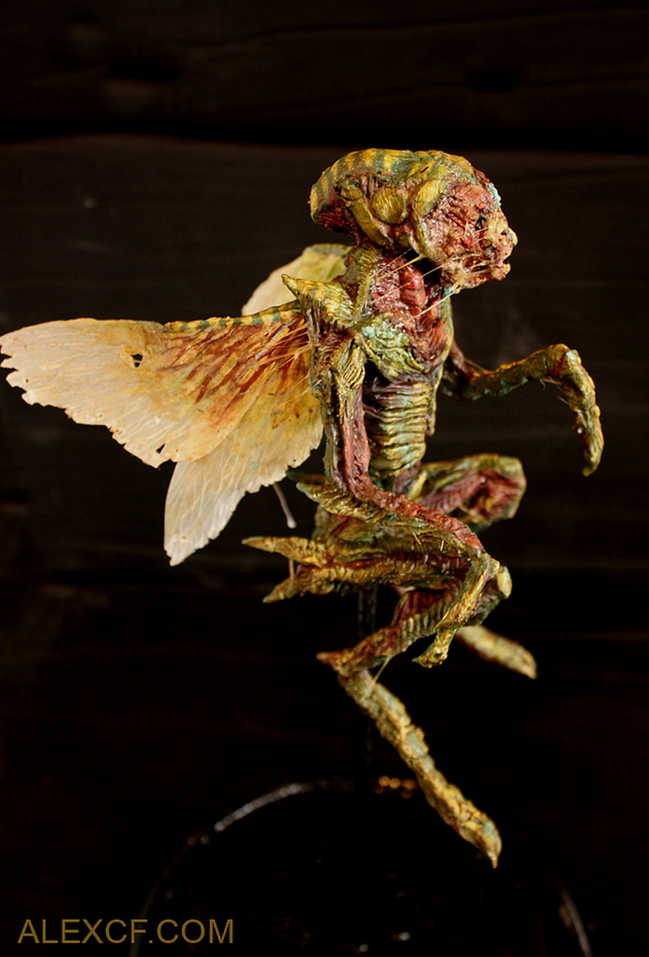 Зубная Фея в реальной жизни