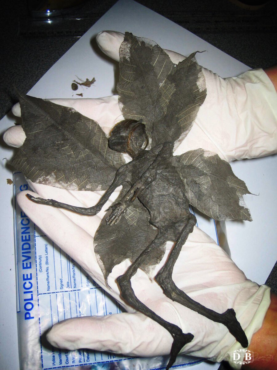 Феи существуют в реальной жизни