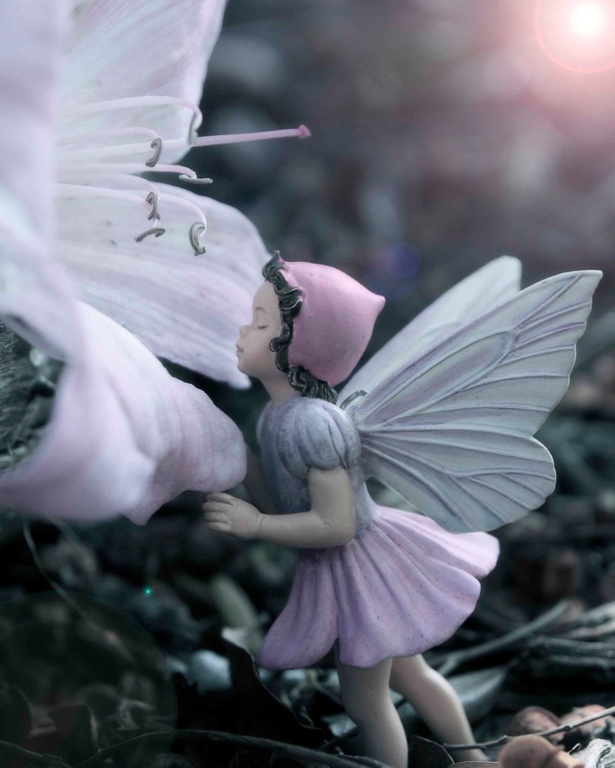 Фея в реальной жизни мёртвая