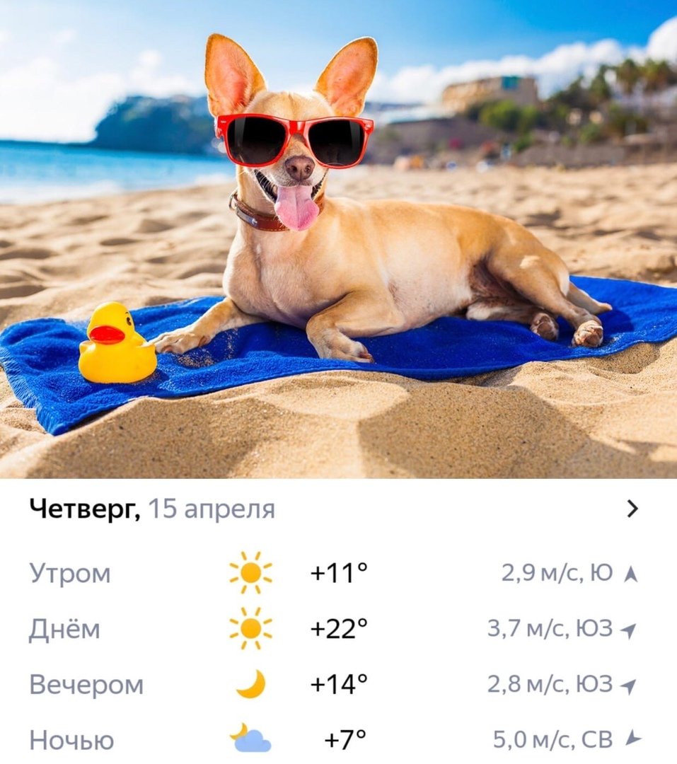 Чемодан на море