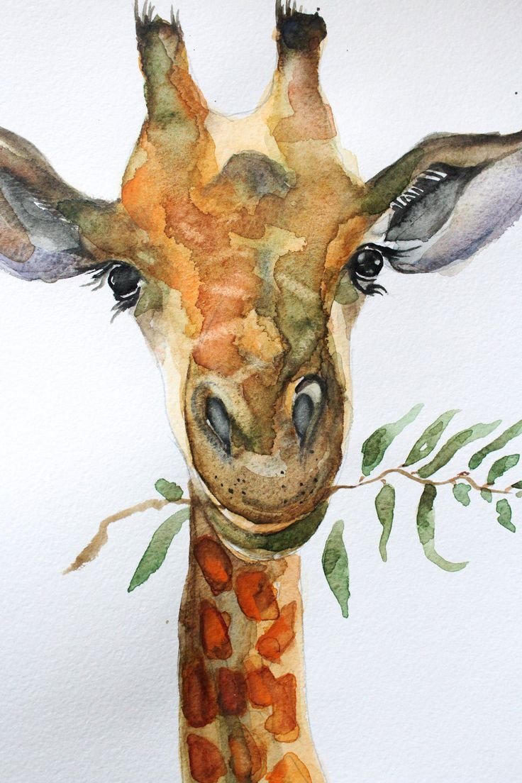 Жираф акварель