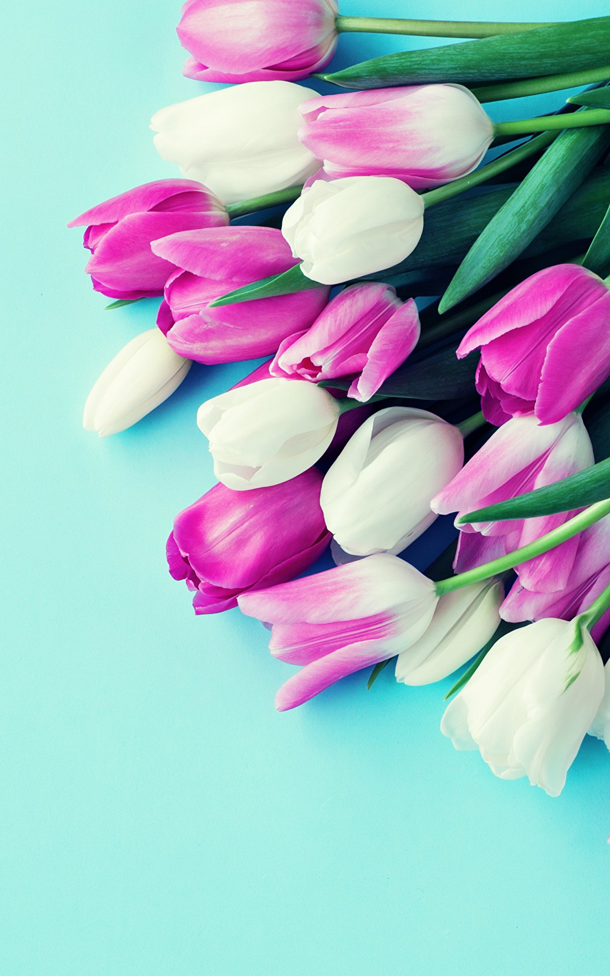 Букет праздничный