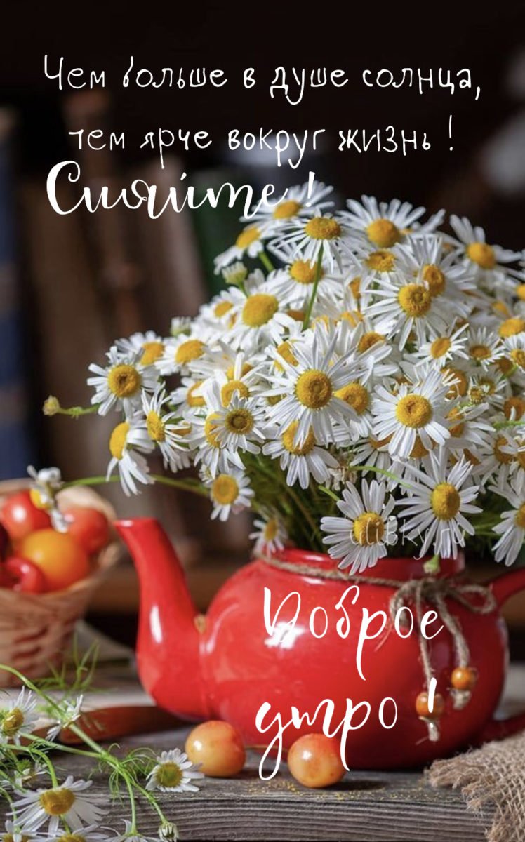 Доброе Июльское утро