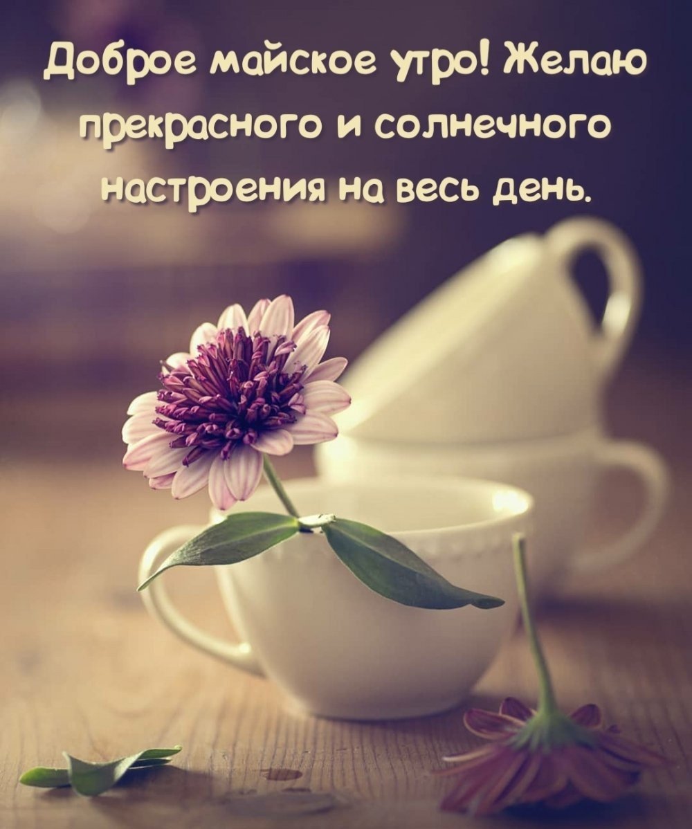 Доброе утречко и позитивного дня