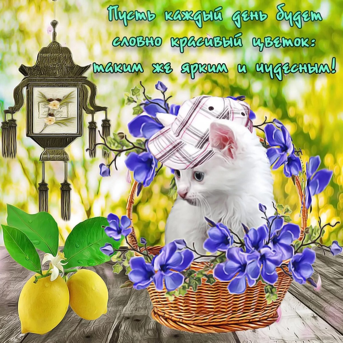 Доброе утро субботы