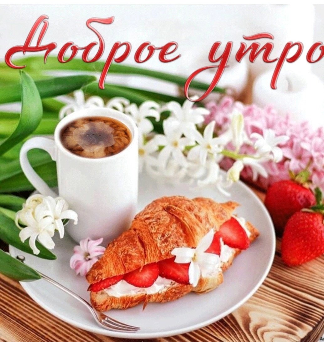 Бодрое утро