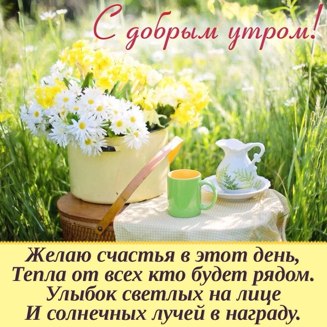 Доброе утро клубника