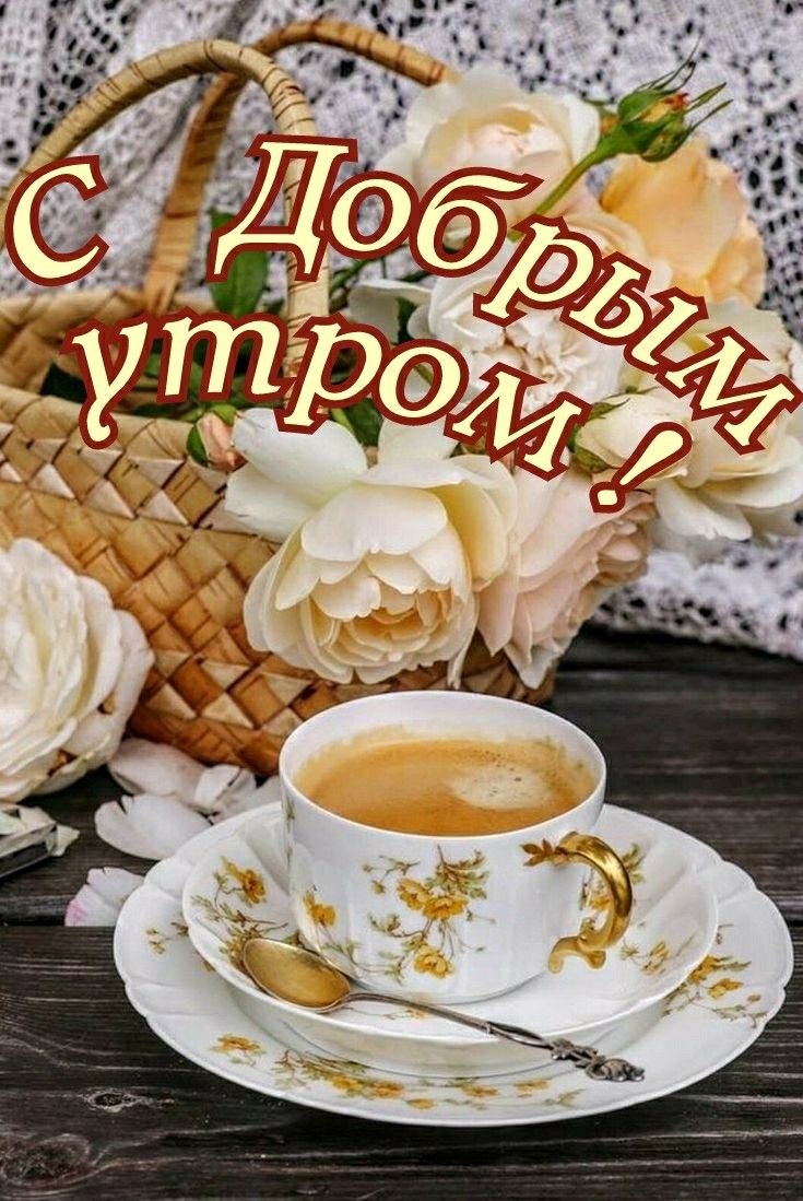 Открытка доброе утро четверг