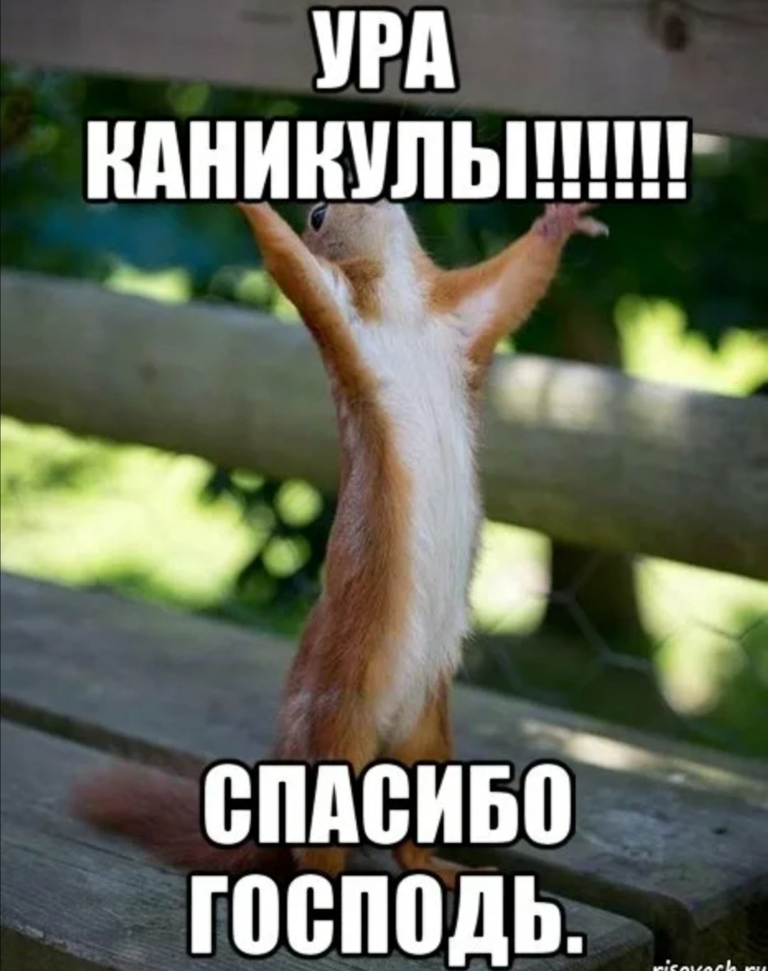 С летом поздравления