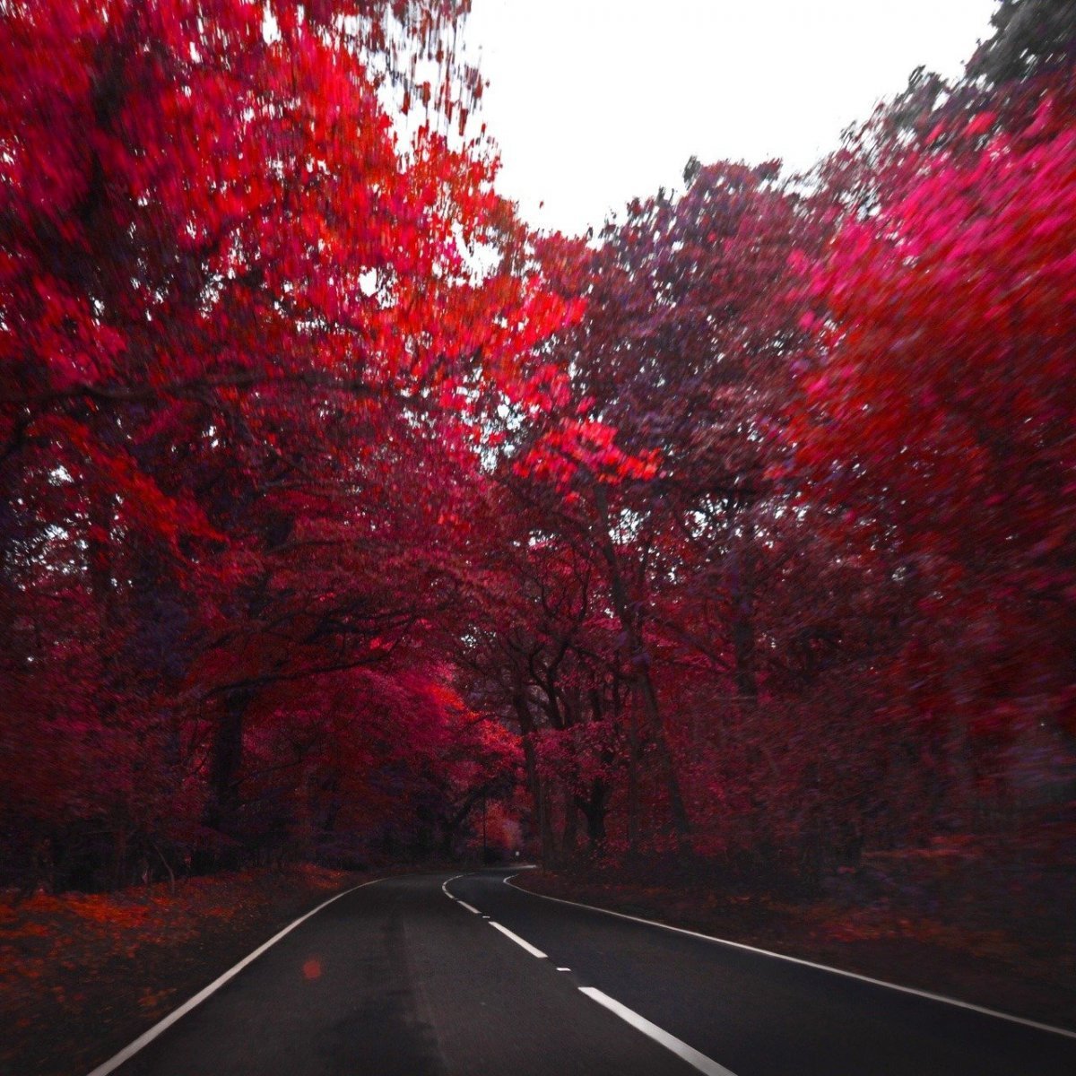 Красивые картинки красного цвета