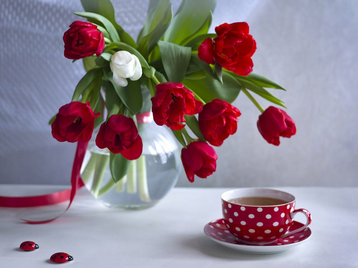 Открытки тюльпаны с добрым утром с пожеланиями. Открытки доброе утро с цветами. С добрым утром картинки красивые. Открытки с добрым утром с цветами. Стильные пожелания с добрым утром.