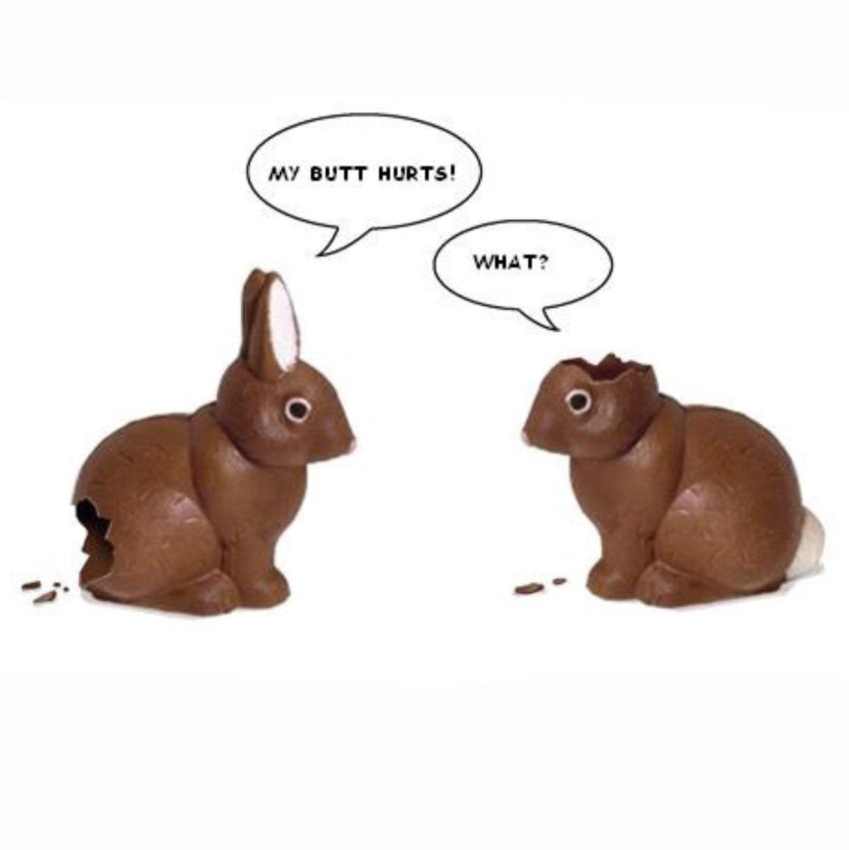 Шоколадный заяц смешной