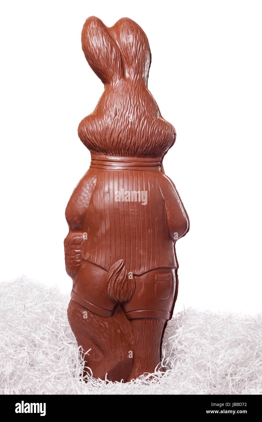 Шоколадный кролик