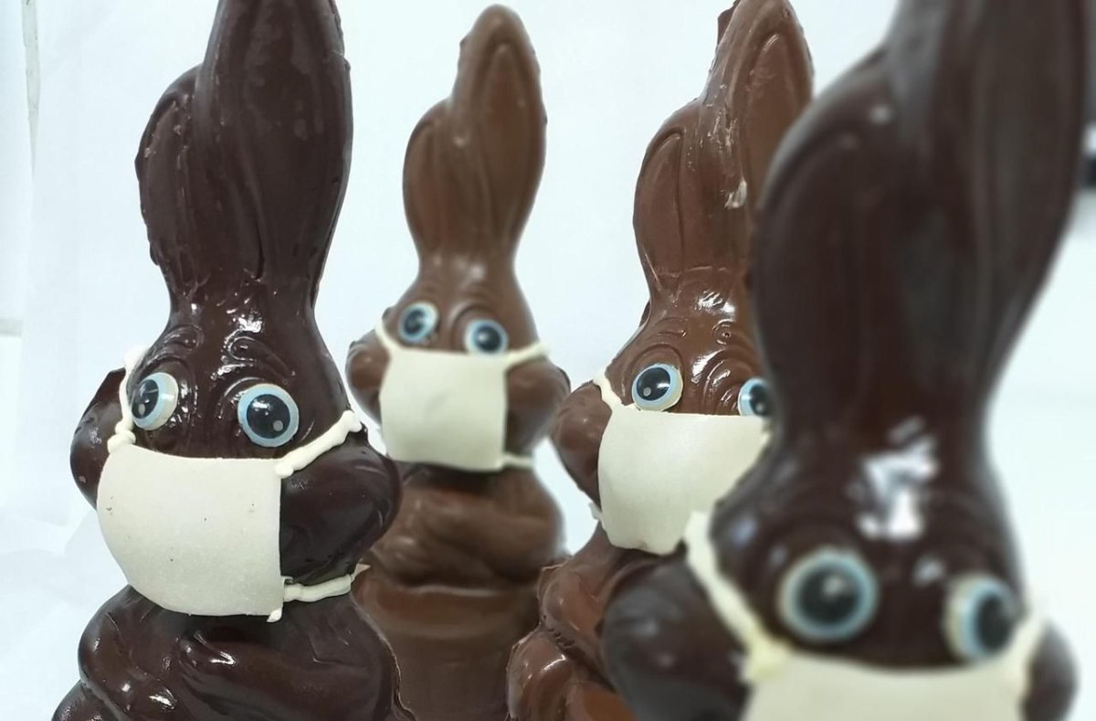 Пьер Нарцисс шоколадный