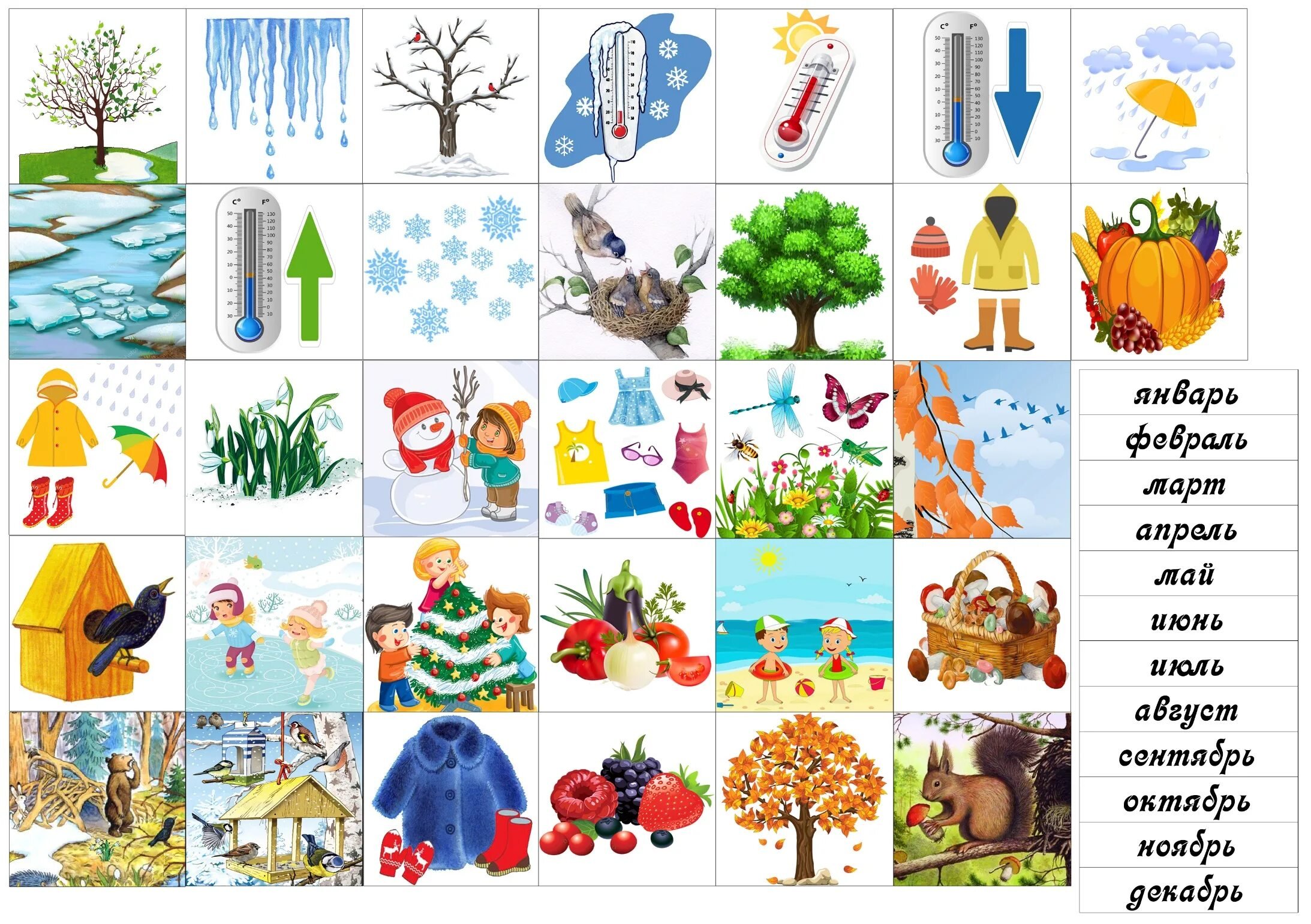 Угадай месяцы. Предметы времен года. Карточки по временам года. Признаки времен года для детей. Изображения времен года для детей.