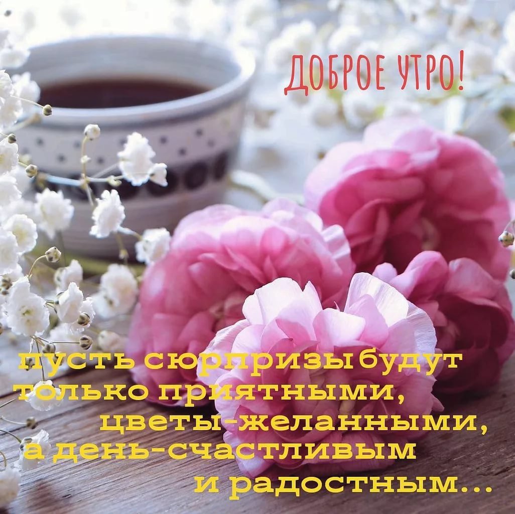 Доброе утро субботы