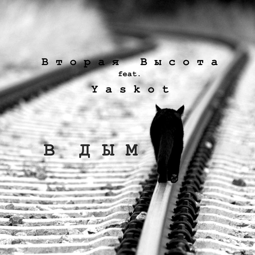 Черная кошка уходит