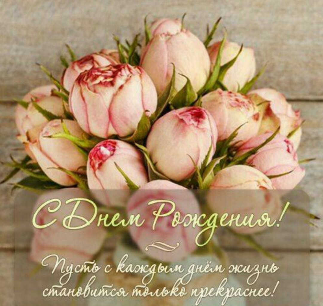 Елизавета Яшина нежные пионы