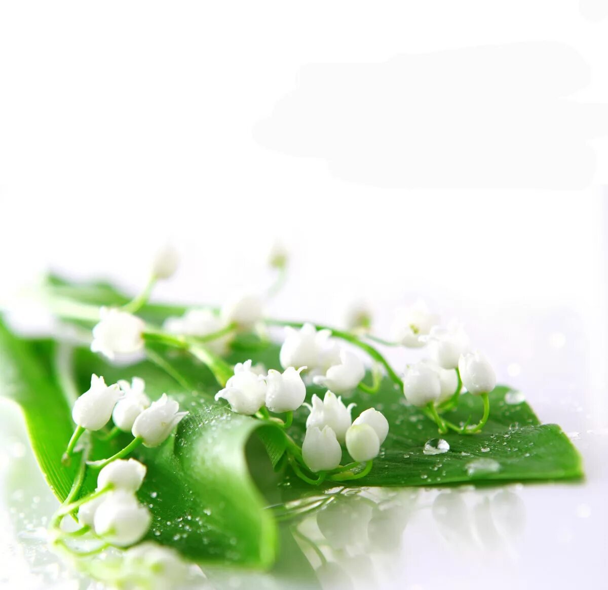 С днем рождения