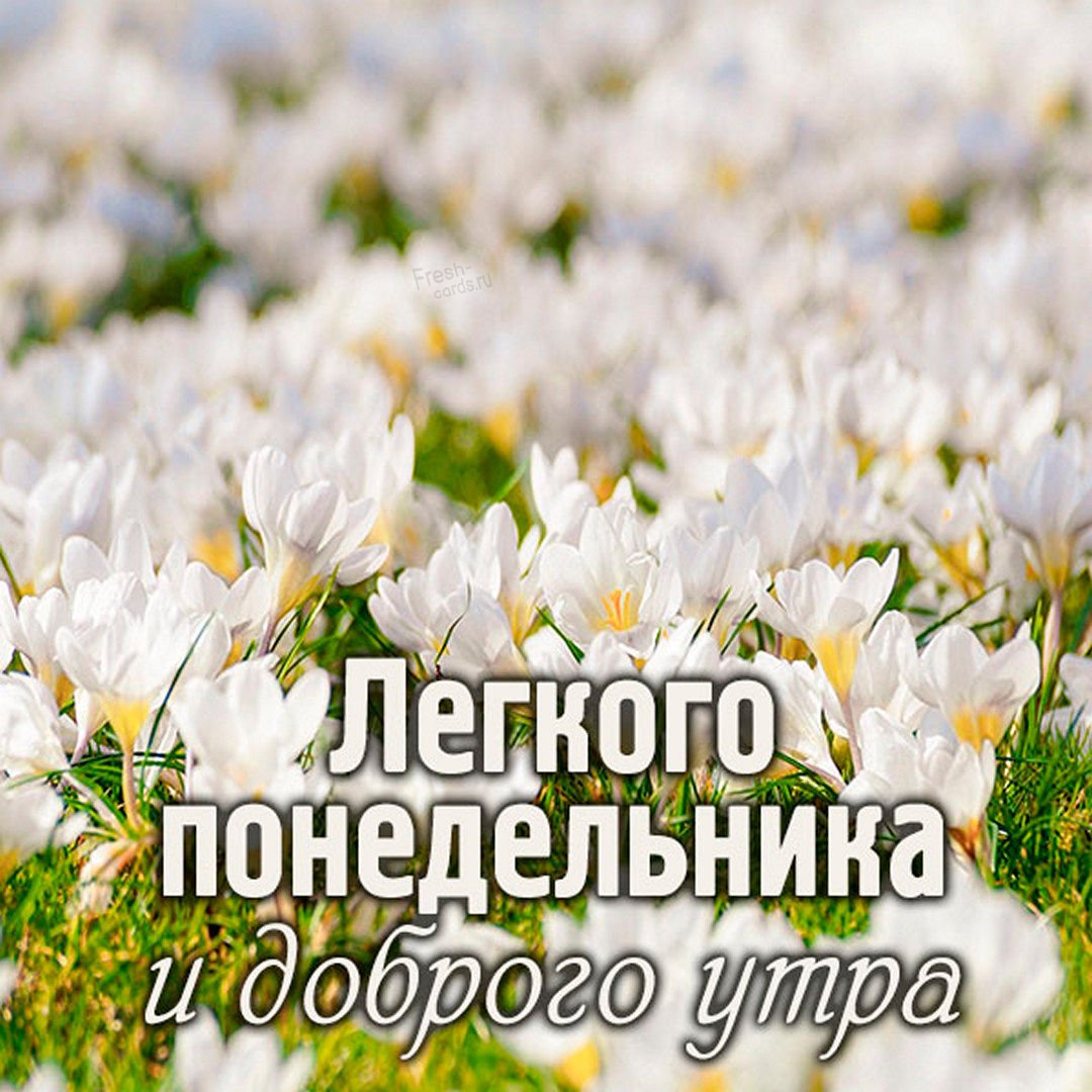 С добрым утром понедельника