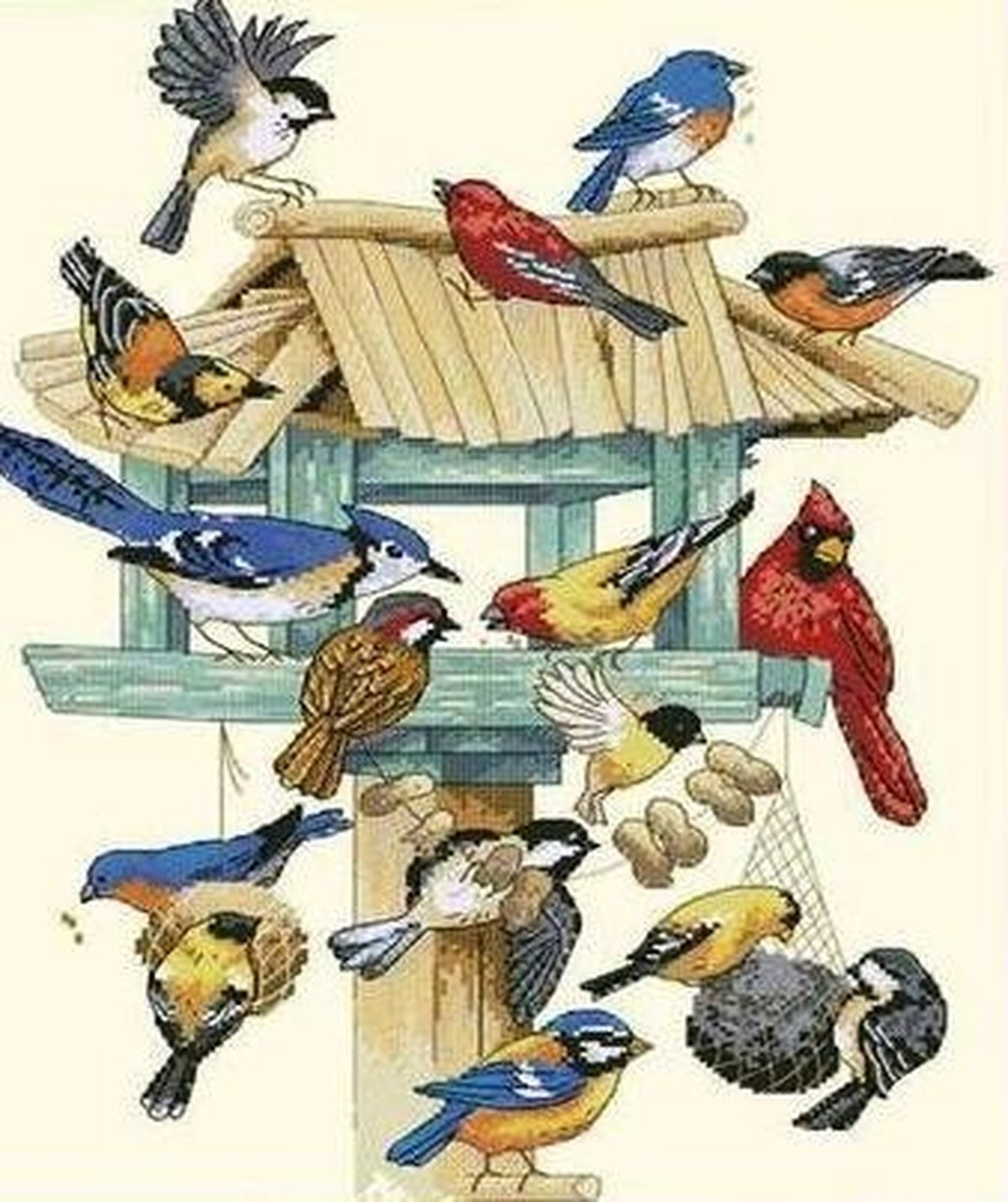 Птичья столовая для детей
