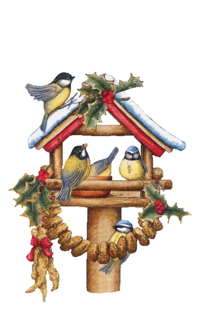 Кормушки для птиц зимой