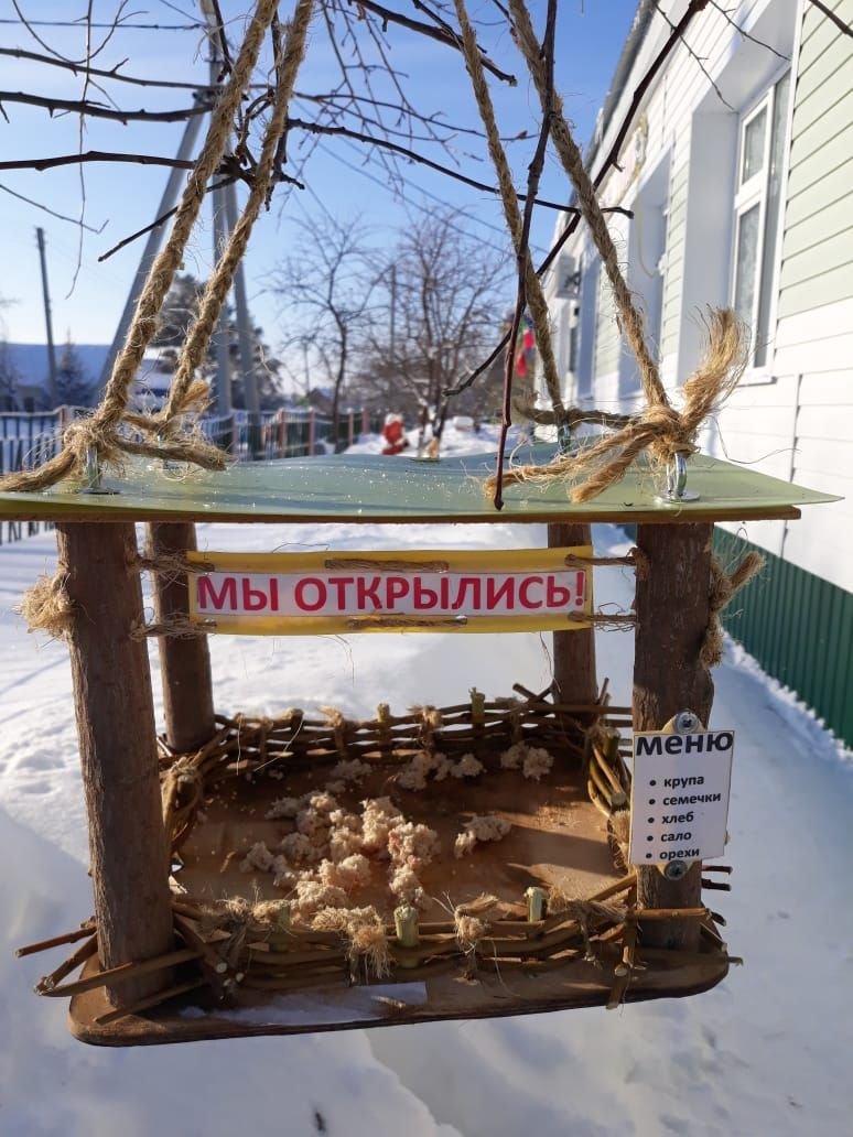 Прикольные кормушки для птиц