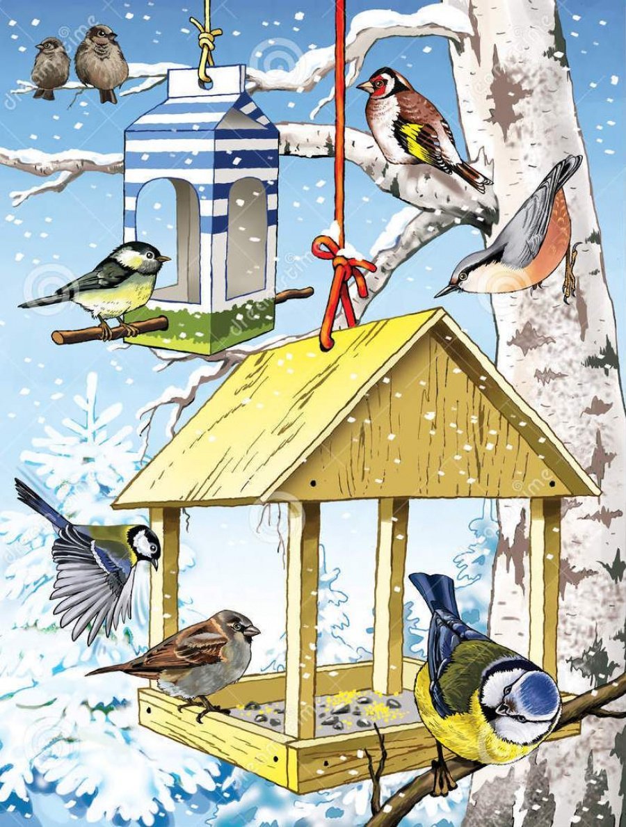 Столовая для зимующих птиц