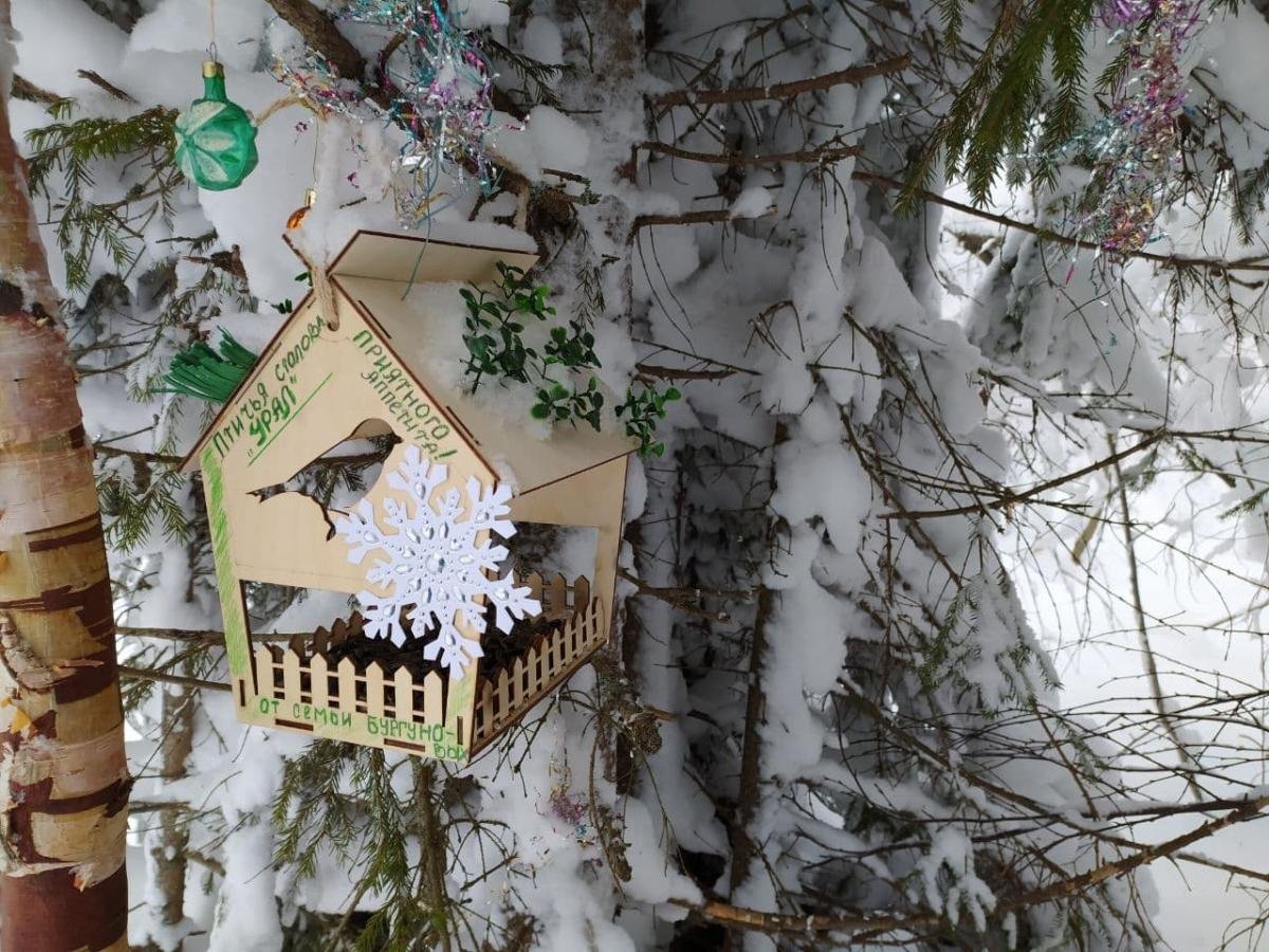 Птичья столовая кормушка