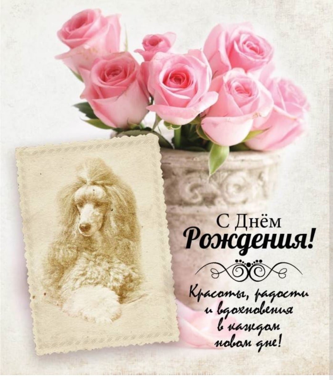 С днём рождения женщине Оксане красивые