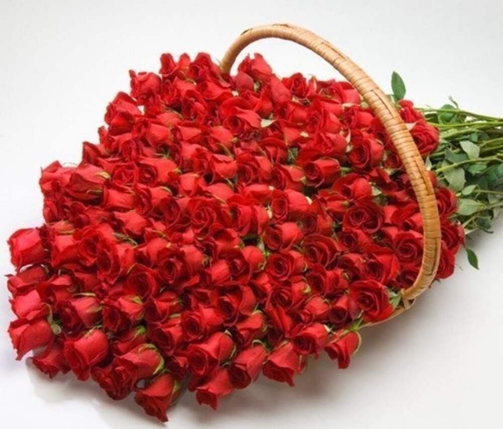 Ольга с юбилеем картинки красивые