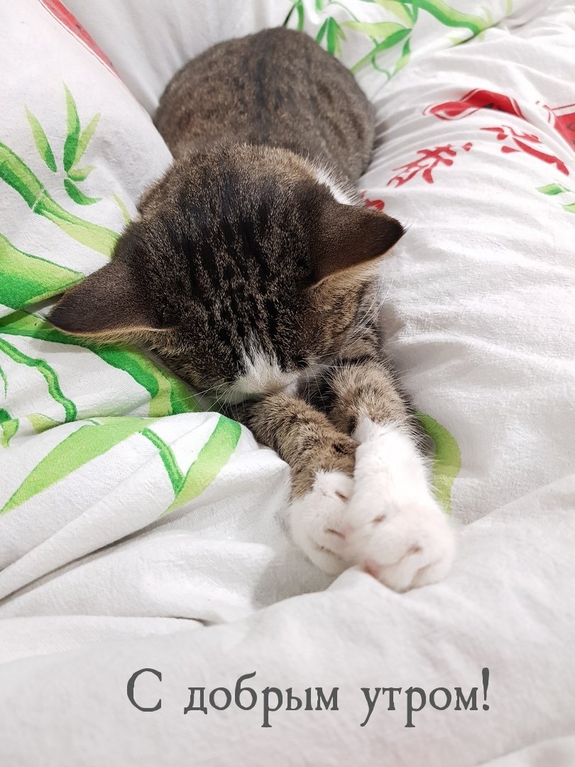 Милые добрые рисунки