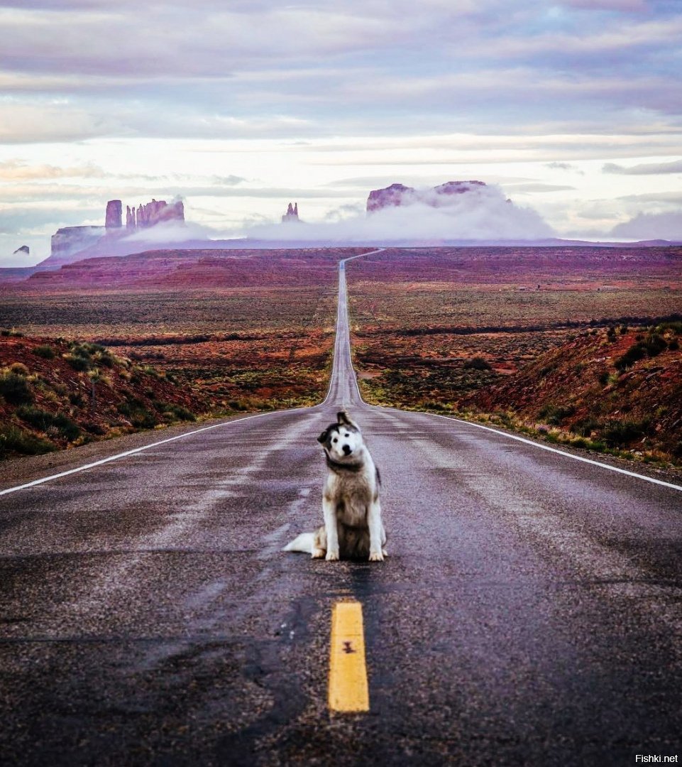 Идти вперед к цели