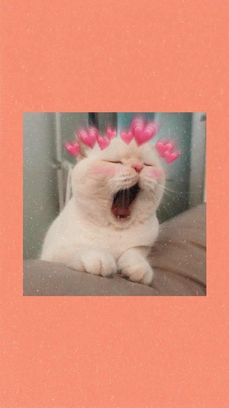 Гламурная кошечка